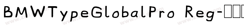 BMWTypeGlobalPro Reg字体转换
